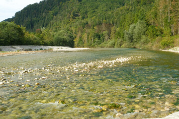 Stunning Mountain River Landscape and Forest View