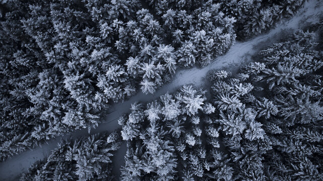 Aerial view of a snow-laden path cutting through a dense, frosted forest, the trees heavy with winter's icy embrace, creating a serene, monochrome landscape, Senja, Troms, Norway. - Powered by Adobe