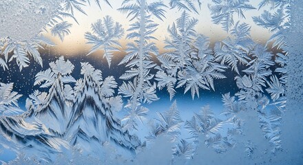 Frost patterns on glass