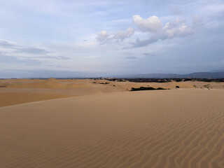 Vast Sand Dunes Landscape with Rippled Texture and Distant Mountains