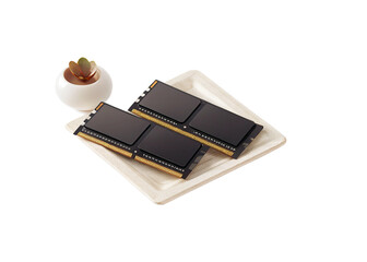 Memory module isolated on suitable background 2