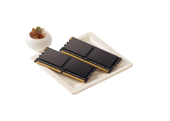 Memory module isolated on suitable background 2