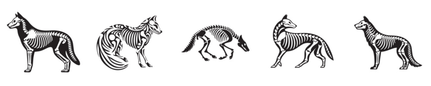 wolf silhouette bone skeleton vector