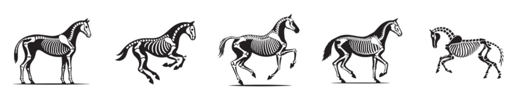 horse skeleton silhouette vector