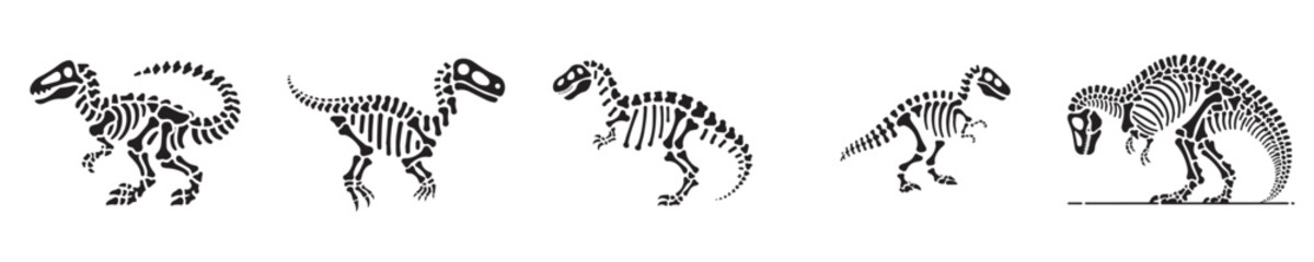 dinosaur skeleton silhouette vector © sarah16blakeyxh2