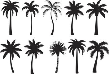 Palm tree silhouette set with tropical shapes, curved trunks, leaf styles, coastal vibe, botanical icons, and exotic landscape elements