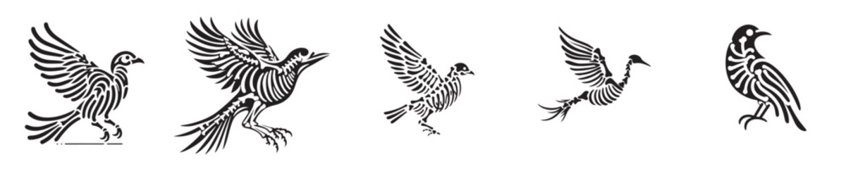 Obraz premium bird skeleton silhouette vector