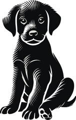 Black & White Puppy Sketch