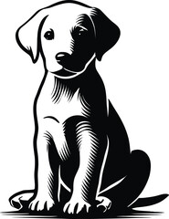 Black & White Puppy Sketch