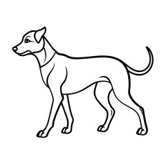 vector illustration of a dog