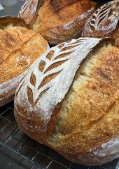 Close up of homemade artisan sourdough bread crust showing beautiful scoring pattern, resting on a cooling rack after baking.