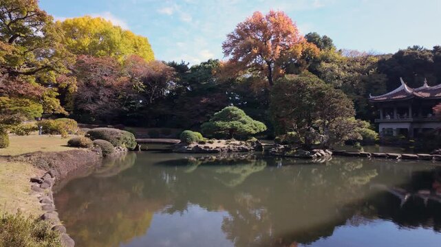 黄葉と紅葉が彩る日本庭園と静かな池の秋風景