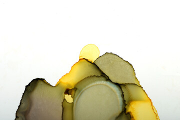 art background from colorful spots