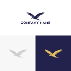 Inspiring and modern hawk logo design for businesses a symbol of freedom and strength