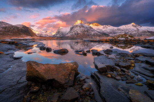 Arctic landscape with snowy mountains reflecting on calm lake with stones and colorful sky with clouds at sunrise. Winter in Lofoten islands, Norway. Sea, rocks in snow, pink sky with clouds at dusk