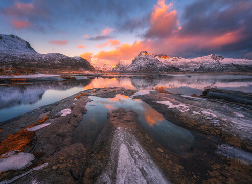 Arctic landscape with snowy mountains reflecting on calm lake with stones and colorful sky with clouds at sunrise. Winter in Lofoten islands, Norway. Sea, rocks in snow, pink sky with clouds at dusk