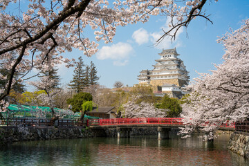 Himeji Castle, Japan, surrounded by cherry blossoms with a river and a red bridge in the foreground.