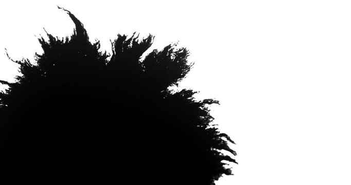 4K Black Ink Bleed: Spreading on White Background Abstract