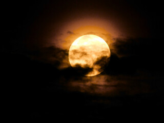 Der Vollmond in seinen schönen Farben am 5. November 2025 in der Uckermark