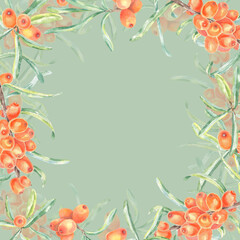 Sea buckthorn frame watercolor hand drawn. Botanical illustration food print, cluster with bright orange berries and juicy leaves. Drawing for packaging, postcard, packing paper, background.