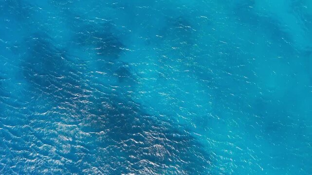 Top-down aerial view of turquoise water and white sand beach with palapas in Cura&ccedil;ao