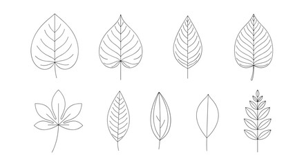 Collection of various types of leaves in simple line art style a botanical set representing nature ecology and plant diversity.