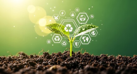 Emerging seedling represents sustainable practices with earth-tone green background.