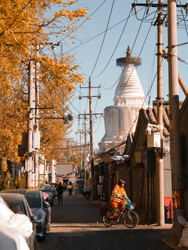 Beijing, China - 16 November 2025: View of the serene White Pagoda Temple rising above the narrow street, a cyclist and pedestrians moving along the aged buildings under a clear sky.