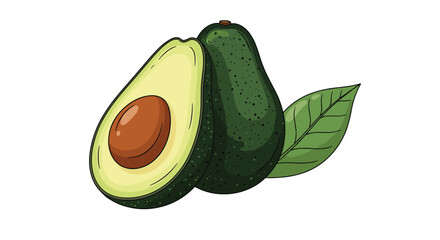 Fresh ripe avocado fruit illustration with one whole and one half showing the seed and a green leaf on a white background.
