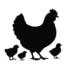 Silhouette of Single Chicken with Chicks Isolated on White Background Vector Illustration