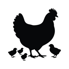 Silhouette of Single Chicken with Four Chicks Isolated on White Background Vector Illustration