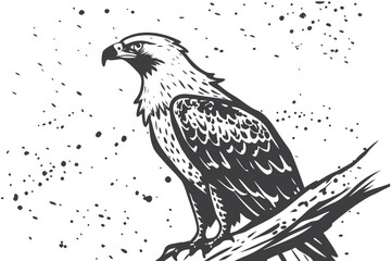 eagle on a branch