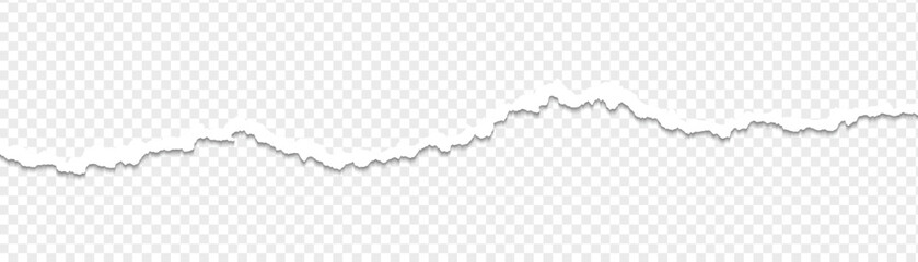 Ripped paper strips with rough torn edges