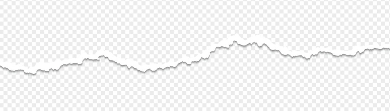 Ripped paper strips with rough torn edges