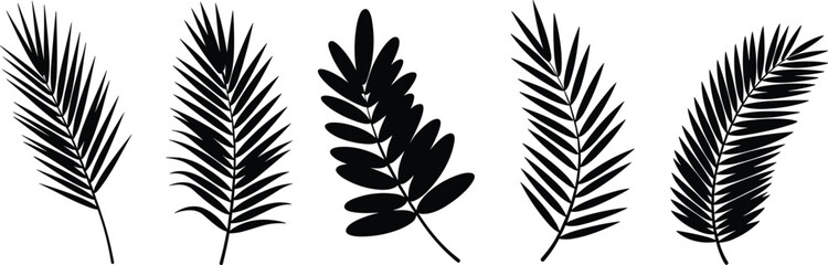 Palm leaf silhouette, tropical foliage, botanical design, black vector, nature art, leaf shape, exotic plant, minimal style, organic, tropical