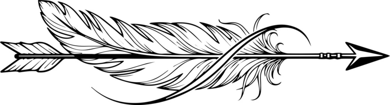 Elegant feather arrow design symbolizing journey, progress, and natural beauty for modern creative projects and artistic ventures