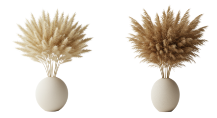 Two dried bouquets: light beige bunny tail in cream sphere vase, natural pampas in beige ovoid vase, transparent background, modern minimalist home decor concept