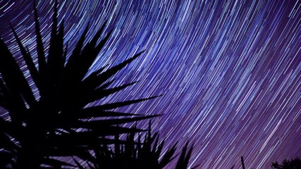 Star Trails Display Timelapse