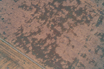 Aerial drone shot of a dry meadow showing sparse vegetation creating a strong mottled abstract pattern on the tan ground. Illustrates drought impact and land degradation.