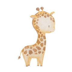 Watercolor cute little giraffe. Safari animal Illustration for kids