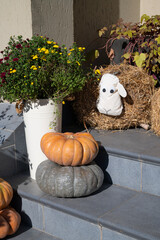Autumn decor on the city streets - pumpkins and flowers