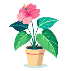 A stylized illustration of a blooming pink hibiscus flower with lush green leaves in a light yellow pot.