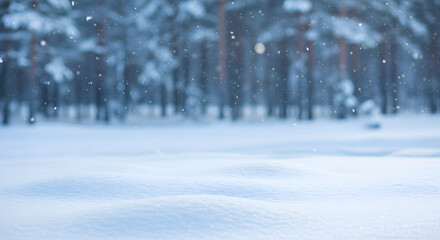 Serene snowy forest landscape with gently falling snow and soft blue hues creating a peaceful scene.