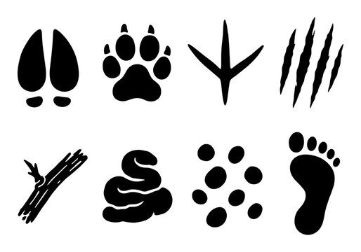 Silhouette animal tracks and natural elements collection