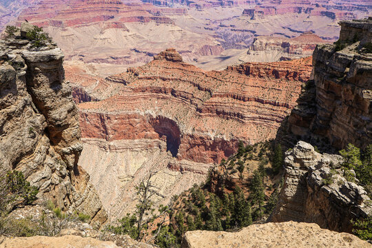 Deep canyon view with layered red cliffs and pine trees under bright sunlight