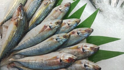 Freshly Caught Raw Fish Displayed on Ice and Green Leaves