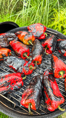 Charred crimson peppers sizzle atop the grill, summoning the fiery spirit of La Tomatina, embracing rustic culinary artistry