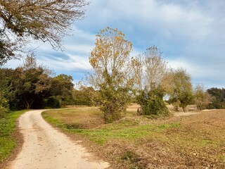 Dirt road by autumn agricultural field with trees in Pla de l’Estany