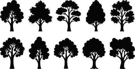 Tree silhouettes vector set of diverse natural tree shapes for graphic design and landscaping projects 