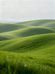 Naklejka premium Minimal Nature Landscape of Grass Fields